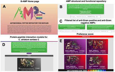 AMPing Up the Search: A Structural and Functional Repository of Antimicrobial Peptides for Biofilm Studies, and a Case Study of Its Application to Corynebacterium striatum, an Emerging Pathogen